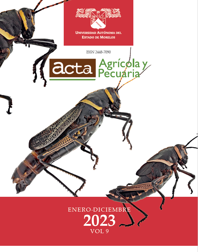 					Ver Vol. 9 Núm. 1 (2023): Acta Agrícola y Pecuaria
				